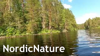 Kayaking in a remote lake near the Finnish-Russian border (62.4°N).