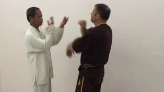 Vietnam Wing Chun - Luyện tập bài quyền 108 (mộc nhân)