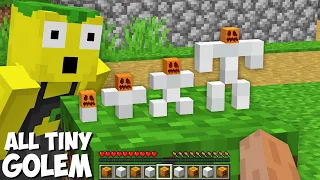 Why did I SPAWN ALL TINY IRON GOLEMS in Minecraft ! SMALL IRON GOLEM !