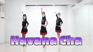 [초급] Havana Cha (by Ria Vos) - Line Dance