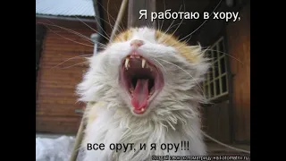 Попробуй не засмеяться🤣🤣🤣😂😂😂