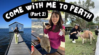 Vlog: Part 2 💙 Come with me to Perth | Chu Bakery | Caversham Wildlife | Costco | Rottnest Island