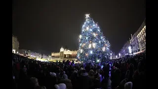 Uroczyste zapalenie choinki na Rynku Głównym