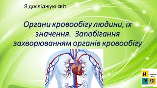 Урок 70. Органи кровообігу їх значення. Запобігання захворюванням органів  кровообігу.