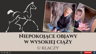 Niepokojące objawy w wysokiej ciąży u klaczy