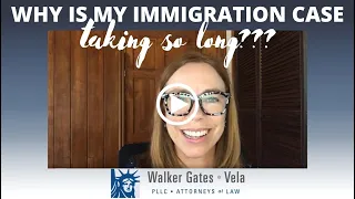 Why is my immigration case taking so long?