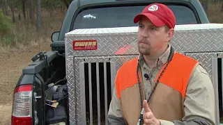 Hunting for Georgia’s Bobwhite Quail