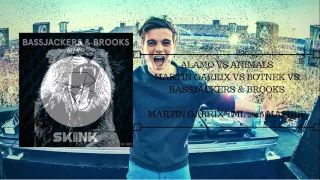 Animals vs Alamo - Martin Garrix TML 2016 Mashup