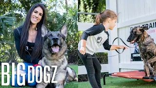 Training $70K Attack Dogs... With Our 4 Year-Old | BIG DOGZ