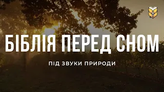 БІБЛІЯ ПЕРЕД СНОМ - Вечір Під Звуки Природи | 🔴 Live