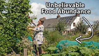 Living the Self-Sufficiency Dream on a Tiny Homestead | Organic & Permaculture Abundance