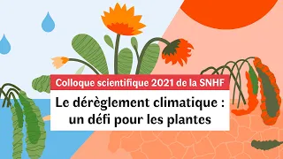 #5 Le dérèglement climatique : un défi pour les plantes