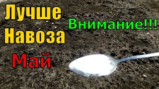 1 ЛОЖКУ НА ВЕДРО ВОДЫ И ЗЕМЛЯ КАК НОВАЯ! ПРОЛЕЙТЕ ЭТИМ ЗЕМЛЮ ДЛЯ ОБИЛЬНОГО УРОЖАЯ ВСЕХ КУЛЬТУР