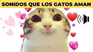 10 SONIDOS QUE LOS GATOS AMAN ESCUCHAR 😻