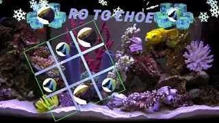 Winter Roto Choe 2018 - Fishcenter Live