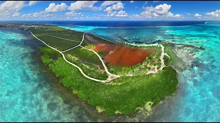 Barker's National Park, Grand Cayman : Amazing Planet (4K) 2023