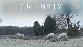 The Book of John - New King James Version (NKJV) - Audio Bible