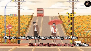 [KARAOKE] Gặp gỡ 遇到 – Phương Nhã Hiền 方雅贤 Ost Thơ Ngây Karaoke-KTV  KTV伴奏 年岁