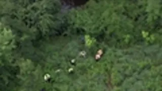 VIDEO: FBI and police search Hines Park for Danielle Stislicki