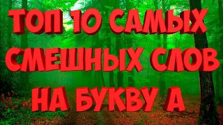 Топ 10 самых смешных слов на букву А