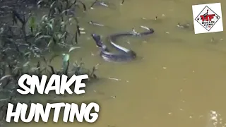 SNAKE HUNTING 🐍🐍🐍 On A Beaver Dam🦫🦫🦫