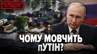 ⚡"НОВООБРАНИЙ" ЗНИК! ЧОМУ МОВЧИТЬ пУТІН? || Бумеранг Бандери