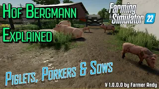 👨🏼‍🌾 FS22 Hof Bergmann Explained 👨🏼‍🌾 Pigs 👨🏼‍🌾 Piglets, Porkers, Sows