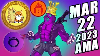 ShibaDoge Burn NFT Gaming AMA With Coin Launch Lounge By DogeCoin Shibarium Shiba Inu Crypto Whales