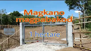 Magkano magpabakod at gate (1 hectare farm) using hog wire 2022 #fence #philippines #hogwire