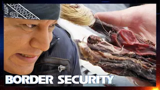 Shocking Deer's Manhood Dug Out During Bag Search | S10 E4 | Border Security Australia