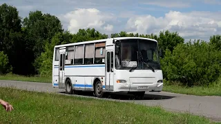 Автобус ПАЗ-4230-03 "Аврора" (КАвЗ) (Х 459 НО 22)