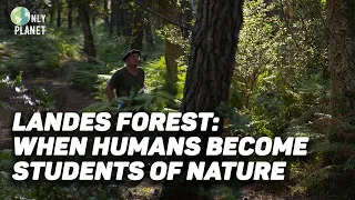 Protecting the largest man-made woodland in Europe | FULL DOCUMENTARY