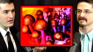 Psychedelics may help people quit smoking | Matthew Johnson and Lex Fridman