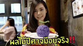 คาเฟ่วันพีช ผลไม้ปีศาจมีจริง