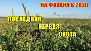 Последняя первая охота