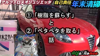 自己責任年末清掃 アルファロメオジュリエッタ「樹脂を磨いて ′あの’ベタベタを取る」