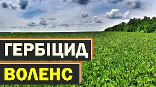 Гербіцид на сою Воленс 🌱