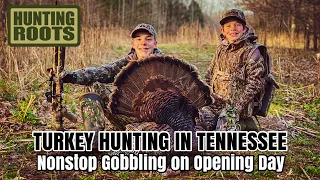 Turkey Hunting in Tennessee: Nonstop Gobbling on Opening Day