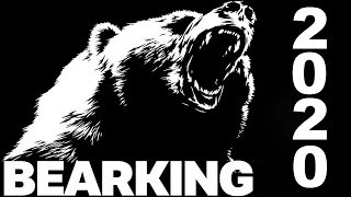 Лучшие воблеры от BearKing 2019 и 2020!