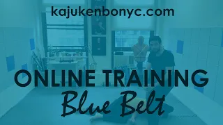 KAJUKENBO NEW YORK CITY BLUE BELT TRAILER