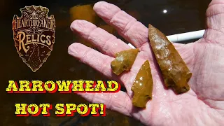 Artifact Hunters Discover The Honey Hole Of A Lifetime - Arrowhead Hunting