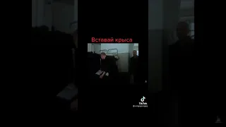 Вставай Крыса (Беспредел)