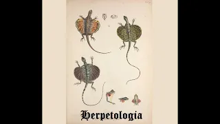 Herpetologia - Reptiles and Amphibians (2018) (Dungeon Synth, Ambient)