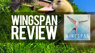 Wingspan Review: Is It Really That Good?