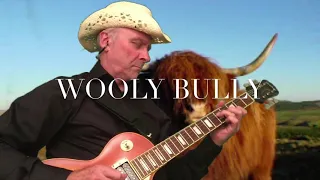 Wooly Bully-Guitar Cover