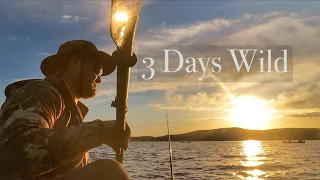 3 Days Remote Wild Camping Cook Delicious Camp Food | Trout in Algonquin Park | Rain & Thunerstorm