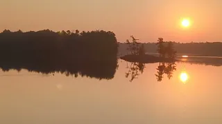 Loon at sunrise on Kasshabog Lake
