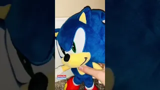Does Sonic Plush Think Ray Is Cool?  #shorts