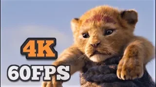 [4K/60FPS] The Lion King - Official Teaser Trailer | 2019