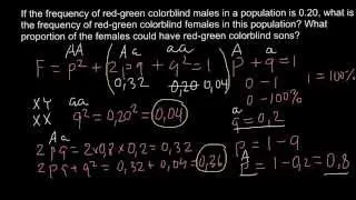 Hardy-Weinberg problem and solution